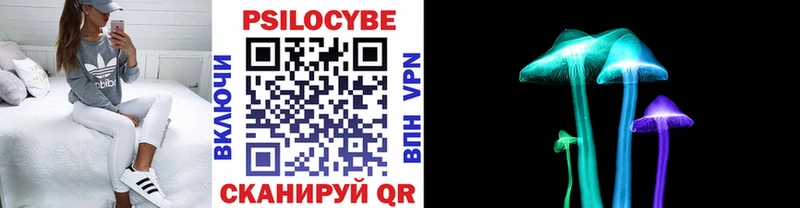 Псилоцибиновые грибы Psilocybe  Динская 